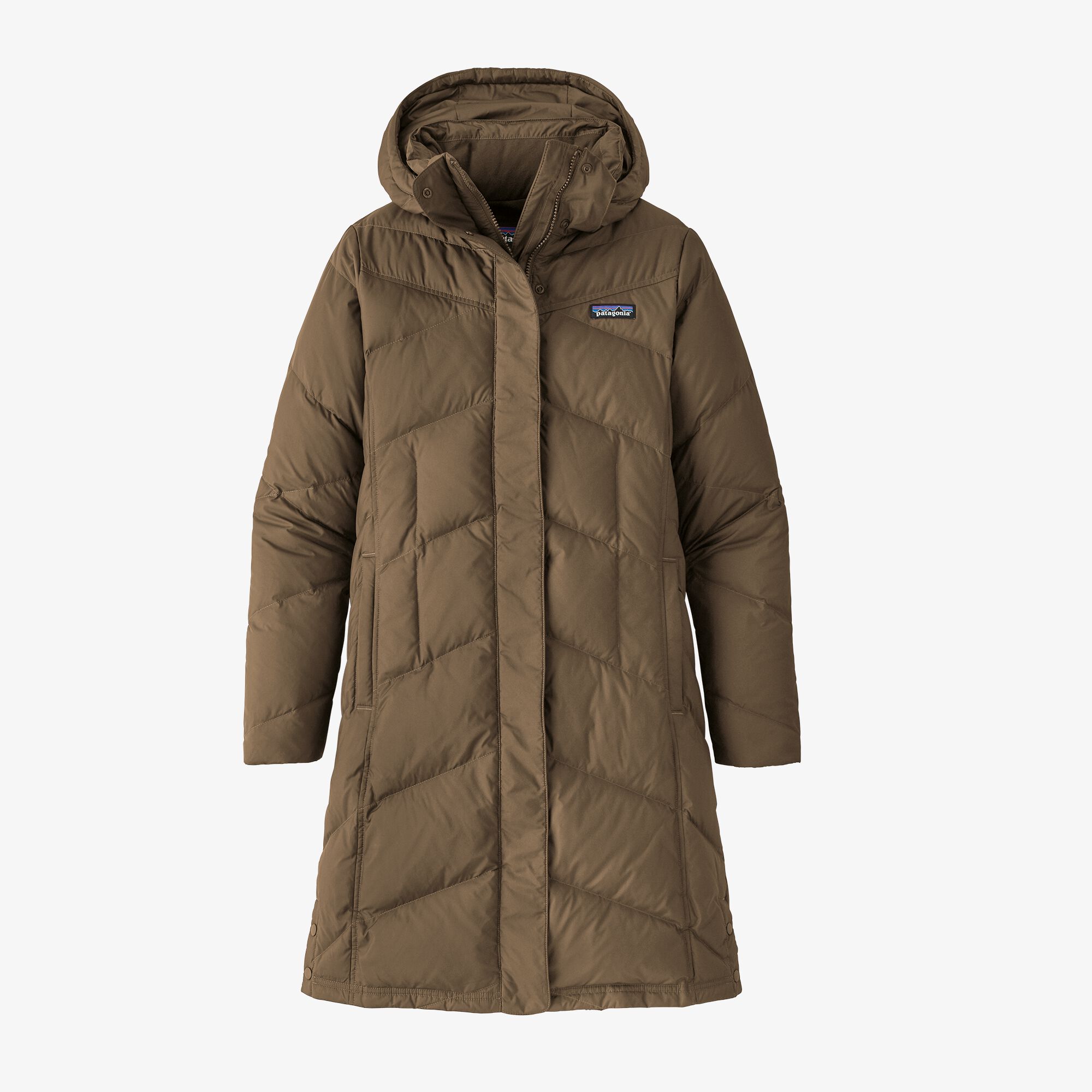 Patagonia Women's  Down With It Parka