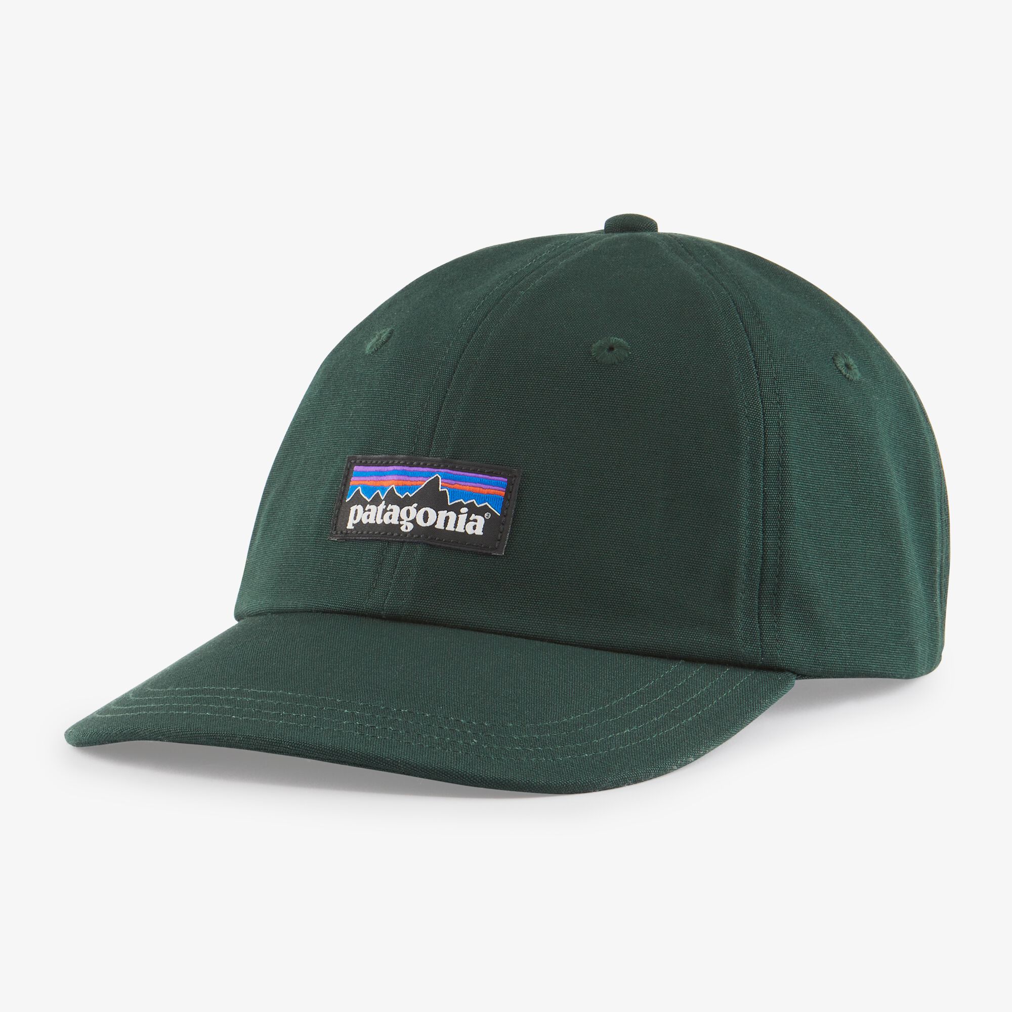 Patagonia P-6 Label Trad Cap