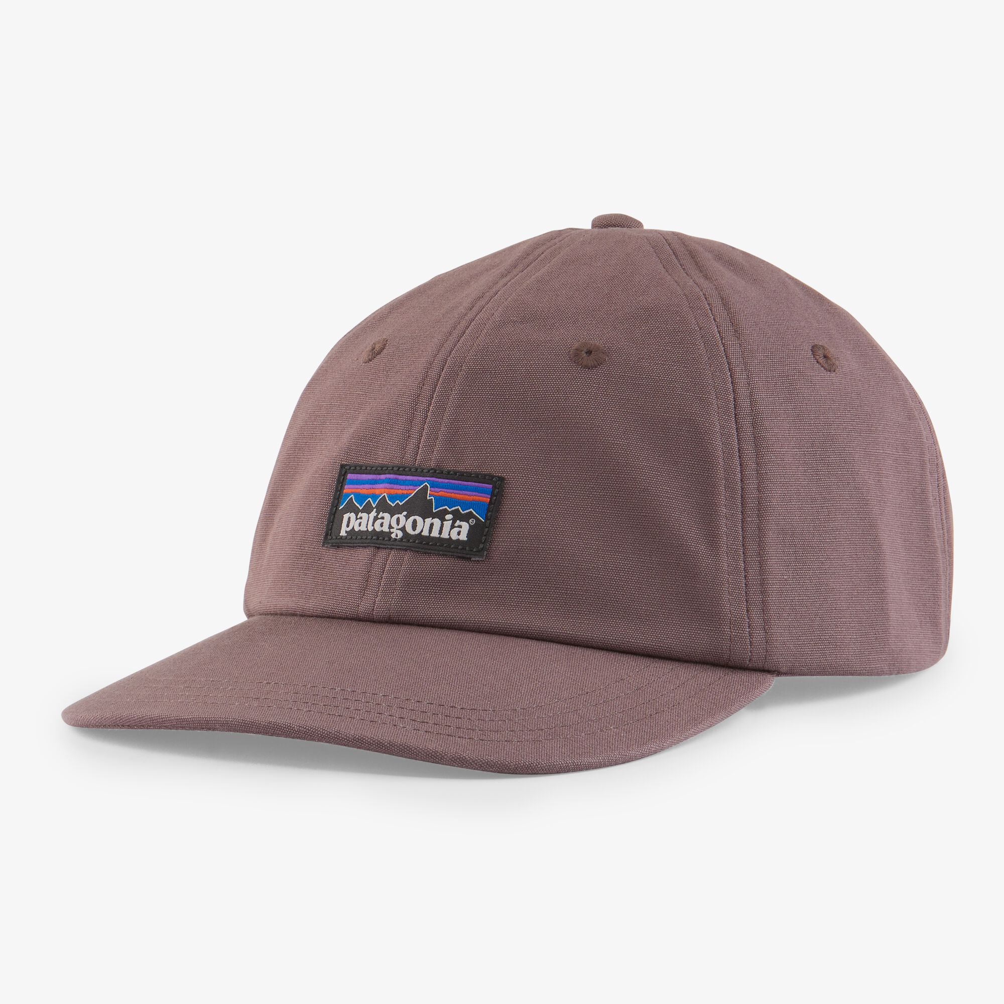 Patagonia P-6 Label Trad Cap