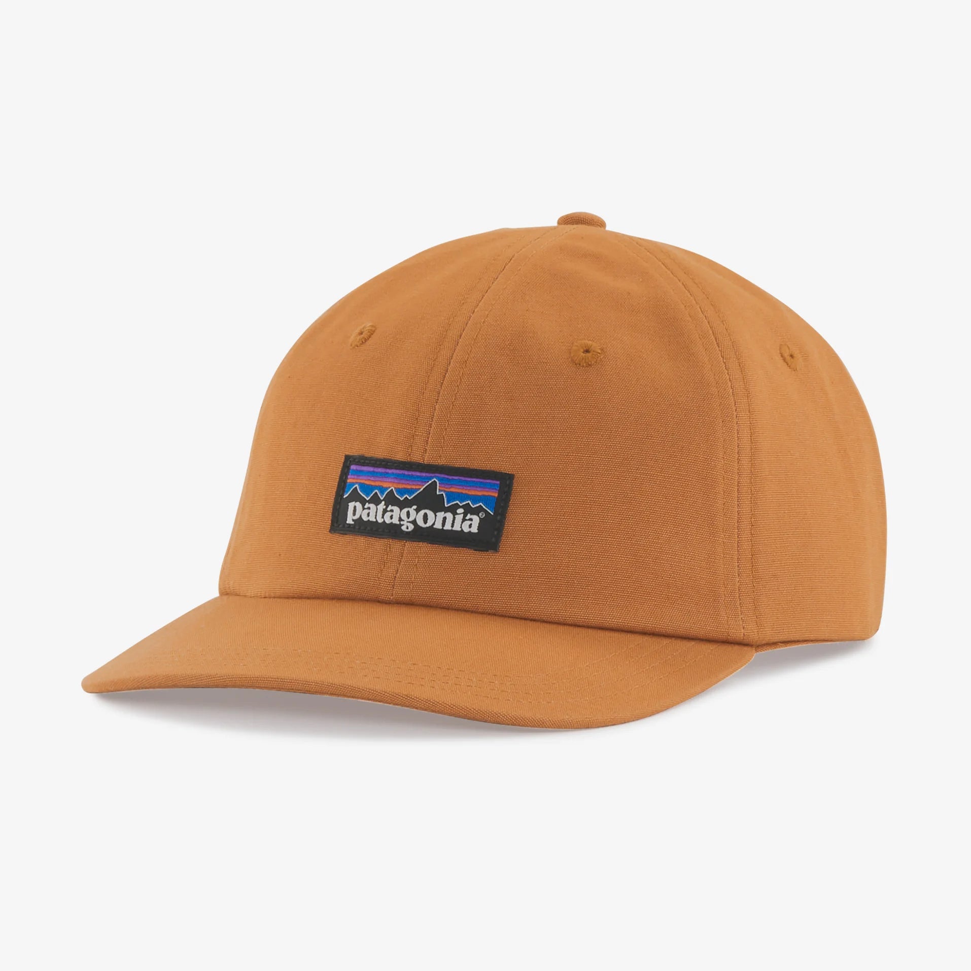 Patagonia P-6 Label Trad Cap