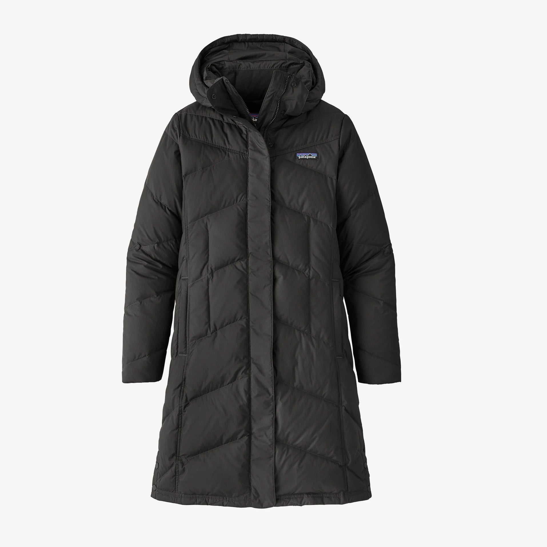 Patagonia Women's  Down With It Parka