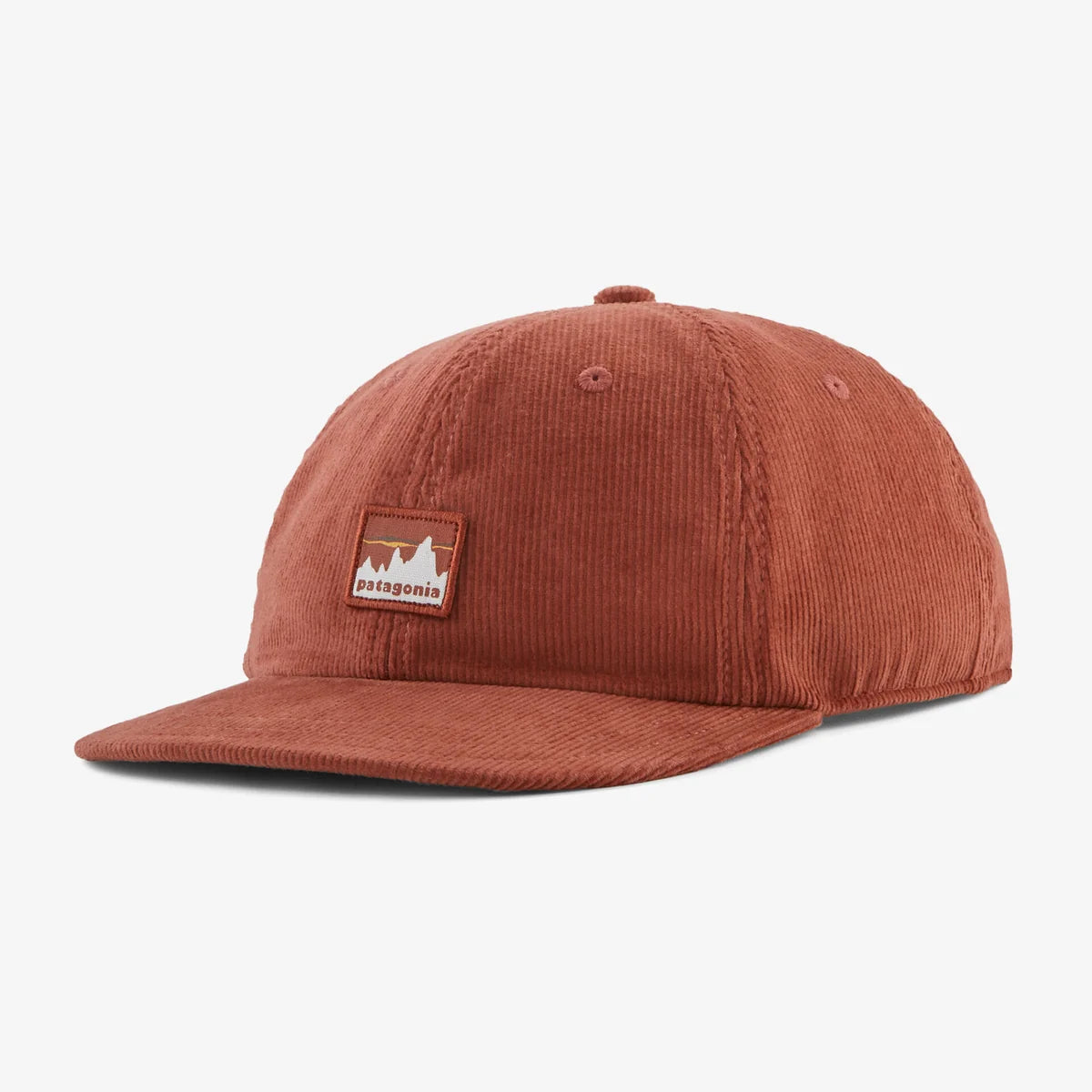 Patagonia Corduroy Cap