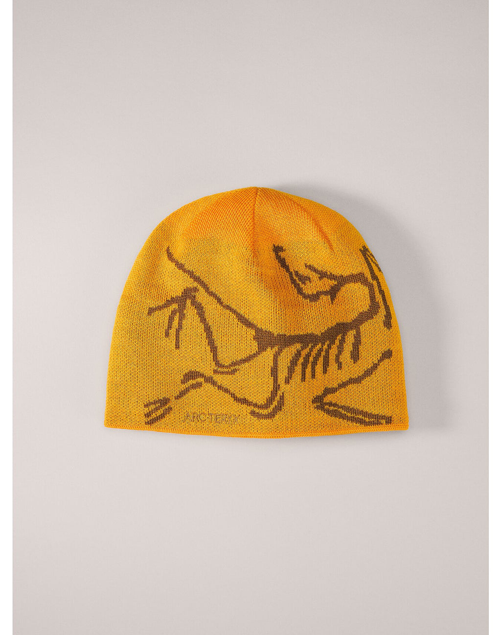 Arc'Teryx Bird Head Toque