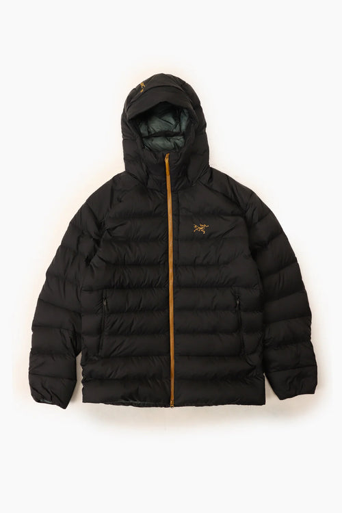 Arc'teryx Men's Thorium Hoody