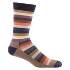 Darn Tough Men's Merlin Stripe Crew Lightweight Cushion