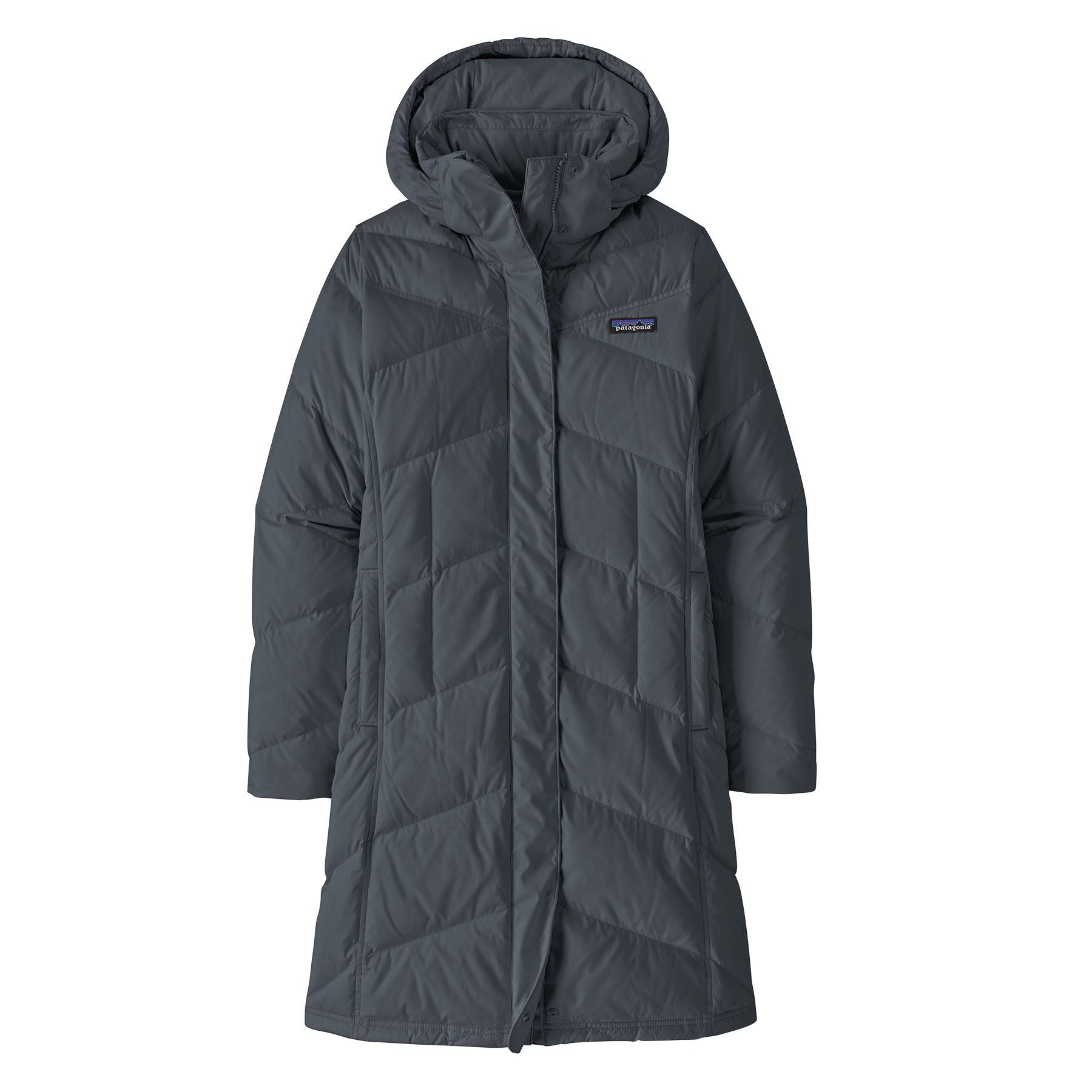 Patagonia Women's  Down With It Parka