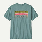 Patagonia Men's Take a Stand Responsibili-Tee