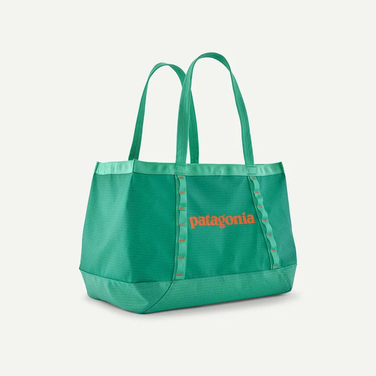 Patagonia Black Hole Tote 25L