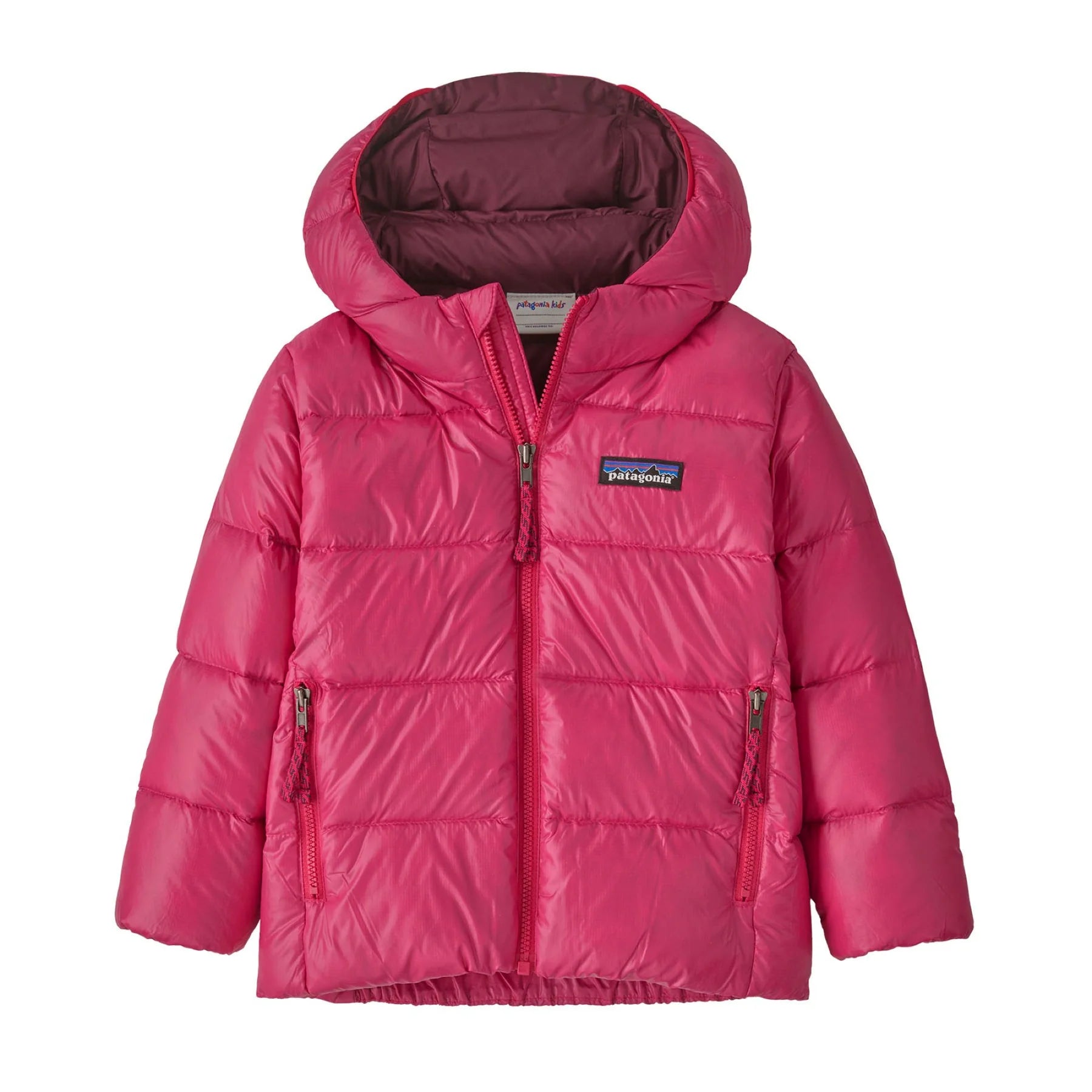 Patagonia Baby Hi-Loft Down Sweater Hoody